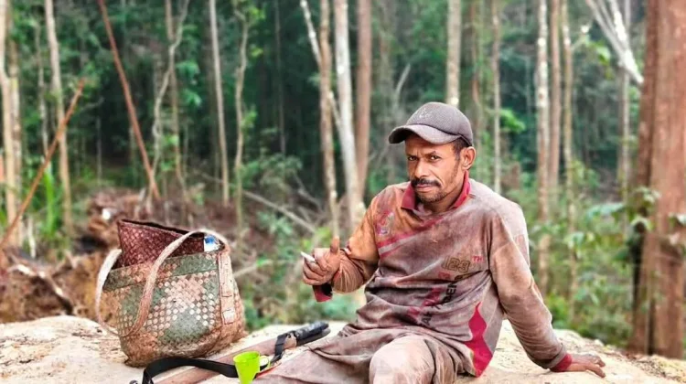 Kabut Asap Ganggu Aktivitas Petani Pala Kampung Sekru