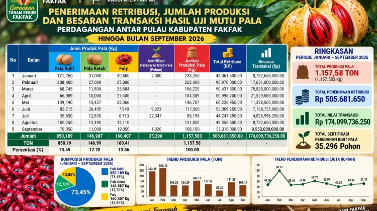 Pala Tomandin Tetap Jadi Andalan Ekonomi Fakfak di tengah El Niño