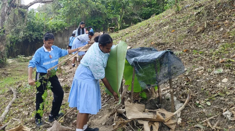 Dari Sekolah, Menanam Harapan untuk Masa Depan Pala Tomandin Fakfak