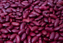 Kacang Merah Sumber Gizi Nabati Bernilai Tinggi