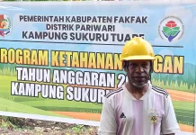 Penanaman Rica Jadi Strategi Ketahanan Pangan Sukuru Tuare