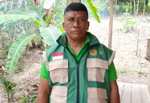 Pendampingan Maksimalkan Penanaman Rica Kampung Sukuru Tuare