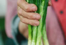 Enam cara menyimpan daun bawang agar awet
