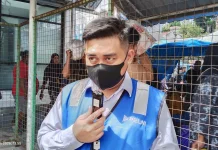 Diskon 30 Persen Tiket Kapal PELNI Fakfak