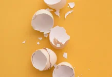 Manfaat Cangkang Telur sampah dapur untuk Membuat Pupuk