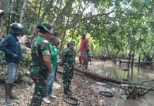 Dandim 1803/Fakfak Tinjau Lokasi Masuknya Injil di Fakfak