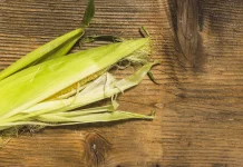 Kulit Jagung Dapat Dimanfaatkan untuk Kesehatan