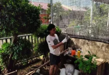 Berkebun saat Puasa Cara Sederhana Redakan Stres