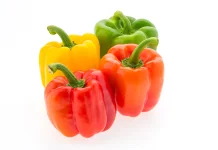 Rahasia Tersembunyi Paprika Khasiat Nutrisi dan Manfaatnya