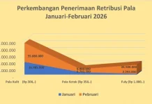 Retribusi Pala pada Februari Tunjukkan Tren Peningkatan