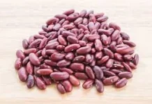 Manfaat Kacang Merah bagi Kesehatan: Kecil, Bergizi, dan Mengenyangkan