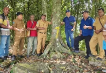 Sinergi Penguatan BPT Pala Tomandin Perkokoh Hilirisasi Fakfak