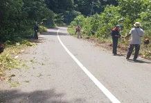 Dukung Program Bupati, Jalan menuju Bandara Siboru Fakfak Dibersihkan