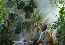 Lima Tanaman Hias Indoor Penyerap Bau Tak Sedap