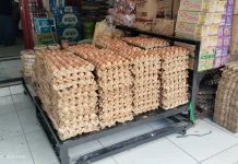 Pengawasan Karantina Jamin Kualitas Ayam dan Telur
