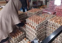 Harga Telur Naik jelang Idulfitri, Warga Fakfak Mengeluh