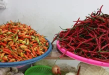 Aktivitas Pasar Meningkat, Harga Cabai Ikut Merangkak Naik