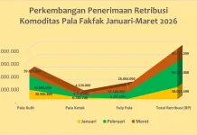 Triwulan I 2026, Retribusi Pala Fakfak Tunjukkan Tren Positif