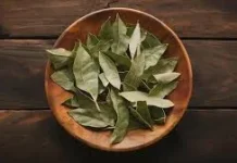Daun Salam: Rahasia Alami Perawatan Kecantikan dari Dapur