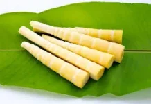 Rebung: Tunas Bambu yang Lezat dan Kaya Manfaat bagi Kesehatan