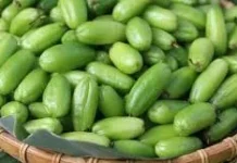 Perbedaan Buah Belimbing dan Belimbing Wuluh: Sekilas Mirip, ternyata Berbeda Jauh
