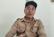Cetak sawah bertahap, Fakfak targetkan produksi padi meningkat