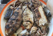 Lezat dan Sehat, Ini Segudang Manfaat Ikan Bakar