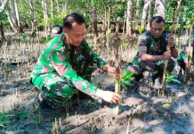 Peduli Lingkungan, Dandim 1803/Fakfak Bersama Persit Lakukan Penanaman Mangrove