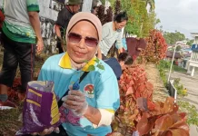 LAPEPA Fakfak Gelar Aksi Tanam Bunga Sambut Hari Kartini