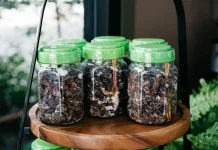 Biji asam jawa solusi sehat alami