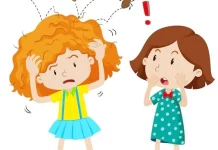 Tips Basmi Kutu Rambut Dengan Bahan Alami