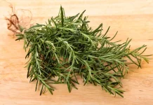 Manfaat Bunga Rosemary untuk Kesehatan