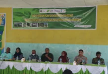 Minyak Kayu Putih Diharapkan Jadi Andalan Ekonomi Baru di Fakfak