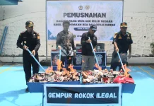 Bea Cukai Fakfak Musnahkan Ribuan Rokok Ilegal
