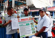 Harga Pala Ditetapkan, Petani Fakfak Semakin Optimis
