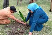 Ketua TP-PKK Fakfak Gaungkan Budaya Tanam Berkelanjutan di Pekarangan