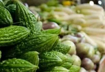 Kenapa Pare Pahit? Ini Penjelasan Ilmiah dan Fakta dari Jurnal Penelitian