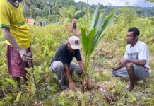 Dinas Perkebunan Ajak Warga Manfaatkan Lahan Kosong Produktif