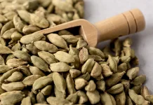 Tujuh Kasiat  dan Nutrisi  yang Dimiliki Kapulaga