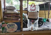 Risfandiyanto Kenalkan Tempat Kompos Ramah Lingkungan untuk Warga
