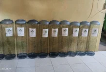 Limbah Galon Bekas Disulap Jadi Tempat Sampah Bernilai