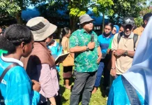 Dinas Perkebunan Fakfak Edukasi Pelajar Tentang Pala Unggul