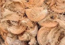 Sabut Kelapa: Limbah Alam yang Bernilai Tinggi