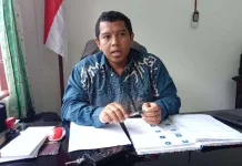 PHBI Fakfak Fokus Pendataan Hewan Kurban Iduladha 1447 Hijriyah