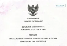 Pemkab Fakfak Tetapkan Pala Tomandin Jadi Tanaman Budidaya dan Konservasi