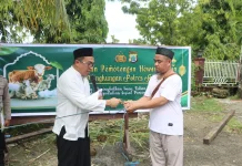 Polres Fakfak Tebar Kepedulian Idul Adha, 12 Hewan Kurban Dibagikan untuk Warga