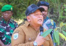 Pala Tomandin Bukan Sekadar Komoditas, tapi Identitas Kabupaten Fakfak