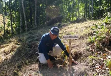 Tanam Pala Bersama Pangdam, Kepala RRI Fakfak Harap Pala Makin Mendunia