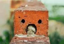 Pareidolia: ketika Otak Melihat Pola yang Sebenarnya Tidak Ada