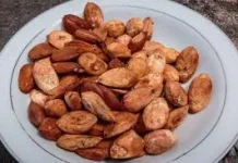 Buah Kenari: Kekayaan Hayati Nusantara dengan Segudang Manfaat